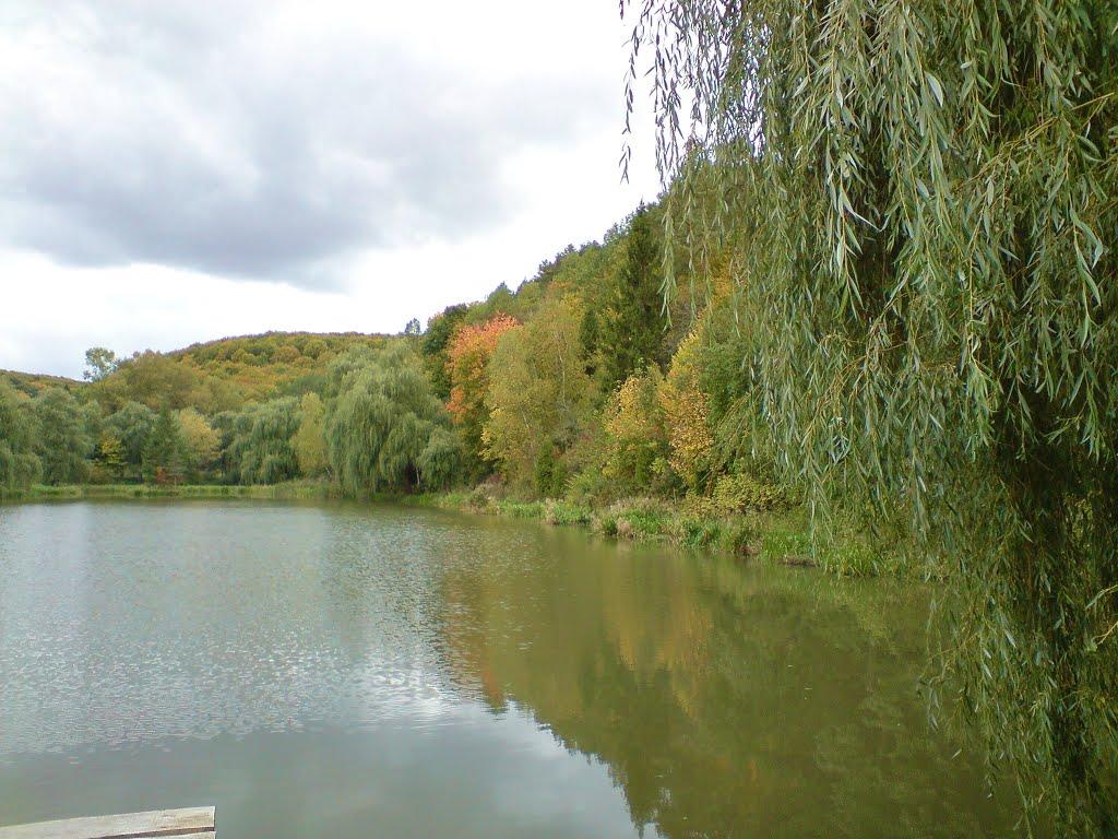 Рогачин з panoramio.com - Rogachyn