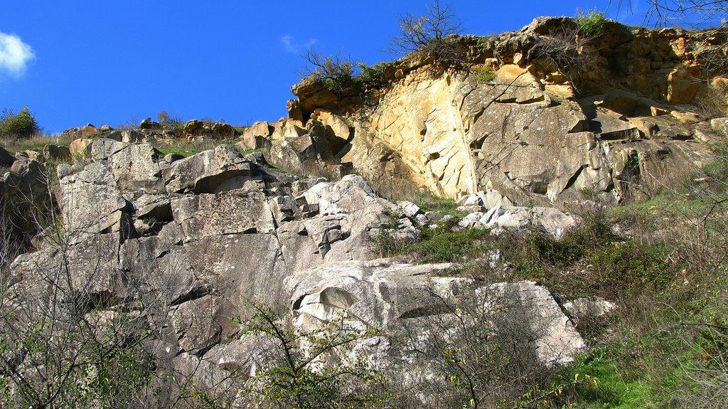 Партизанське з panoramio.com - Партизанське