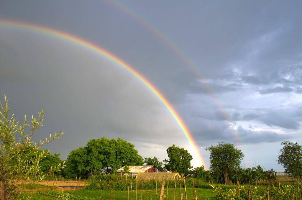 Гетиня з panoramio.com - Гетиня