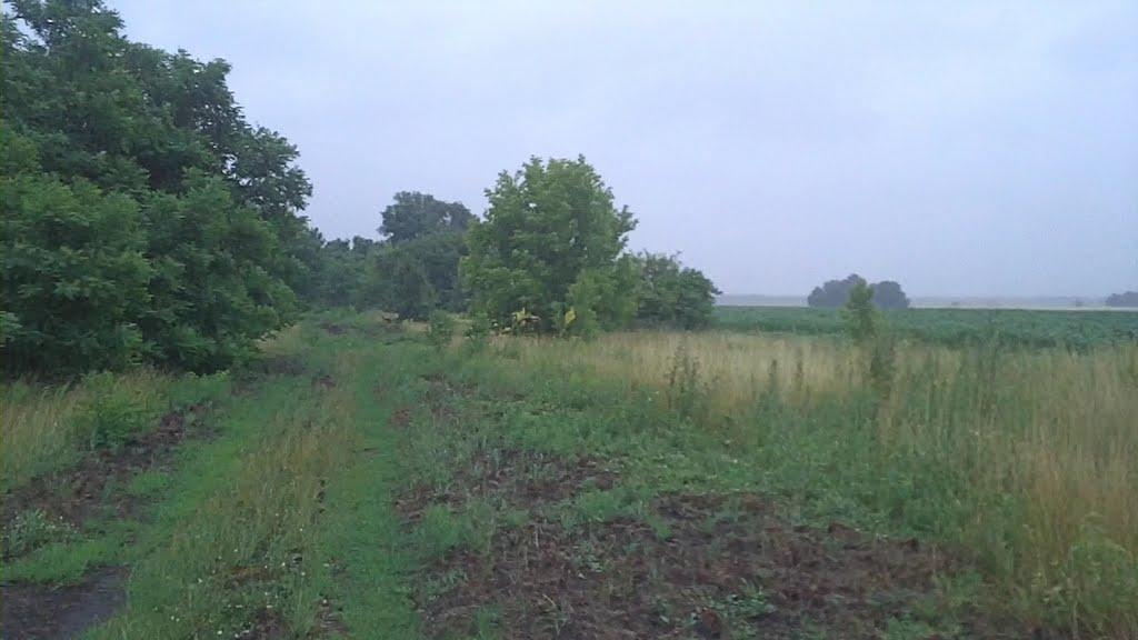 Зелене з panoramio.com - Зеленое