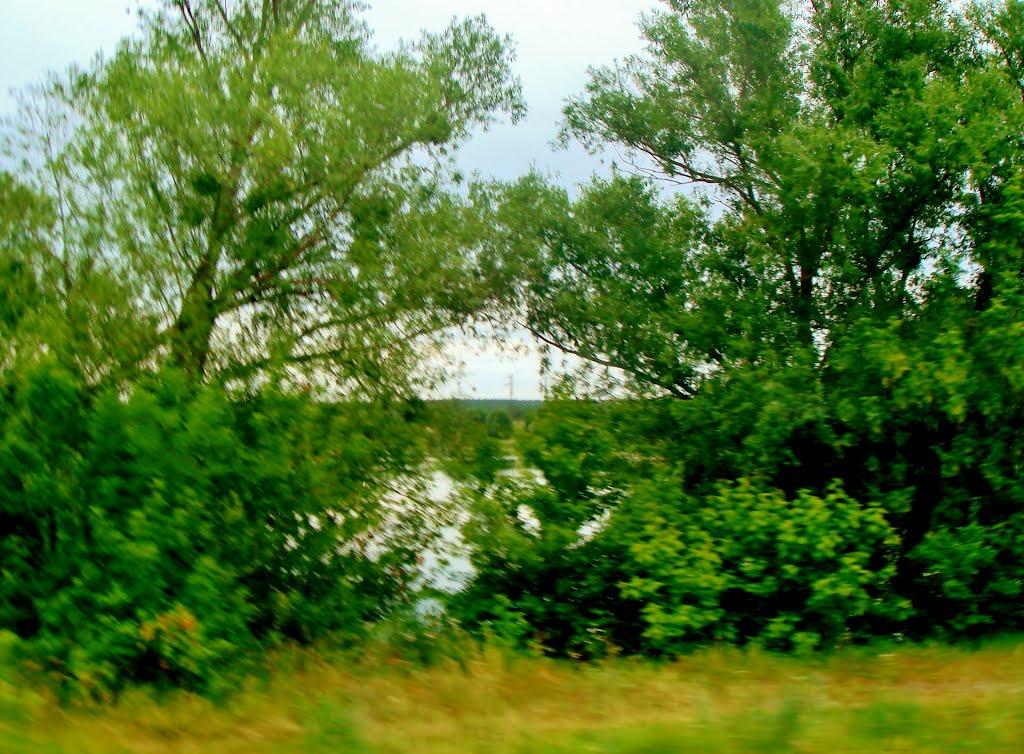 Неморож з panoramio.com - Nemorozh