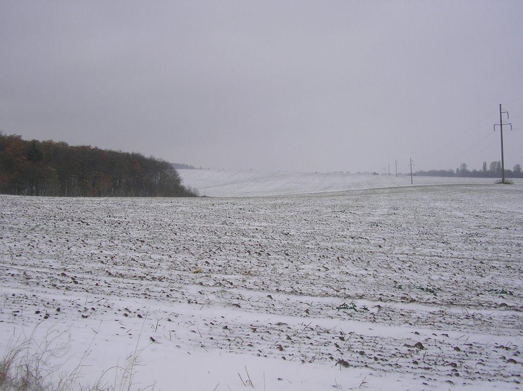 Чижівка з panoramio.com - Чижівка