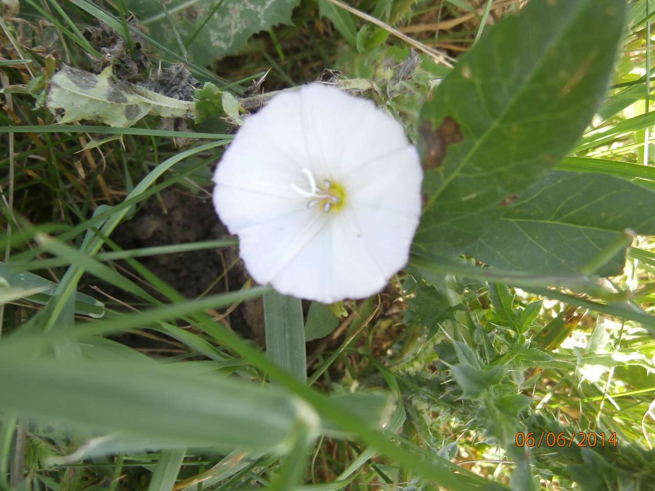 МОЄ ВАТУТІНЕ - Ватутино