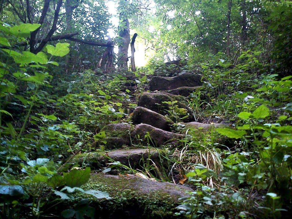 Гамарня з panoramio.com - Гамарня