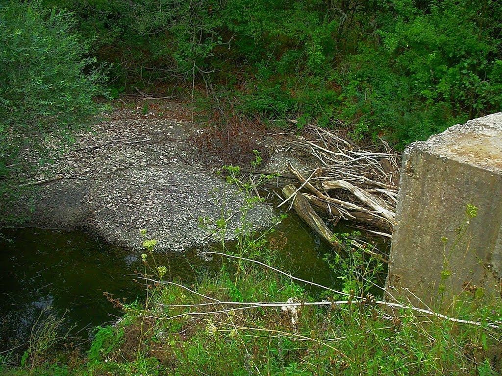 Щасливе з panoramio.com - Schaslyve