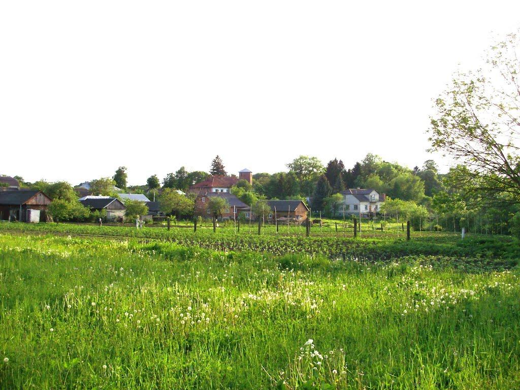 Черниця з panoramio.com - Черниця