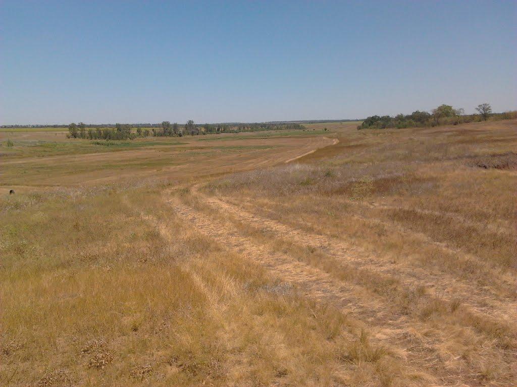 Омельник з panoramio.com - Омельник