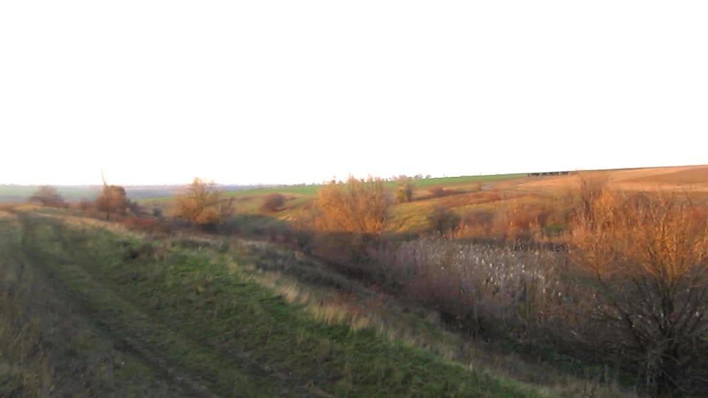 Козакова Балка з panoramio.com - Козакова Балка