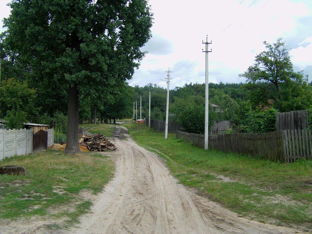 Свеса з panoramio.com - Свеса