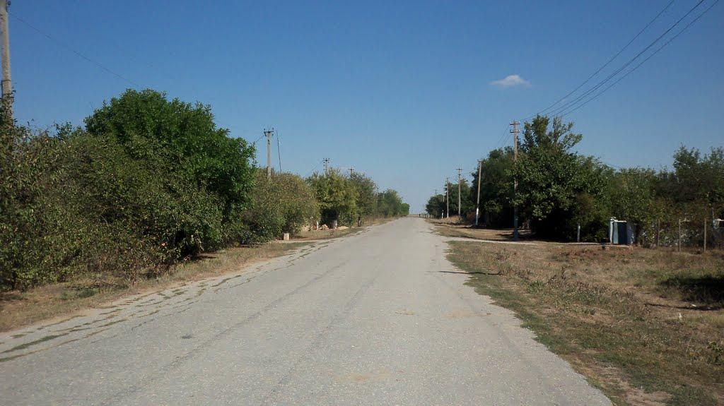 Зимине з panoramio.com - Зимине