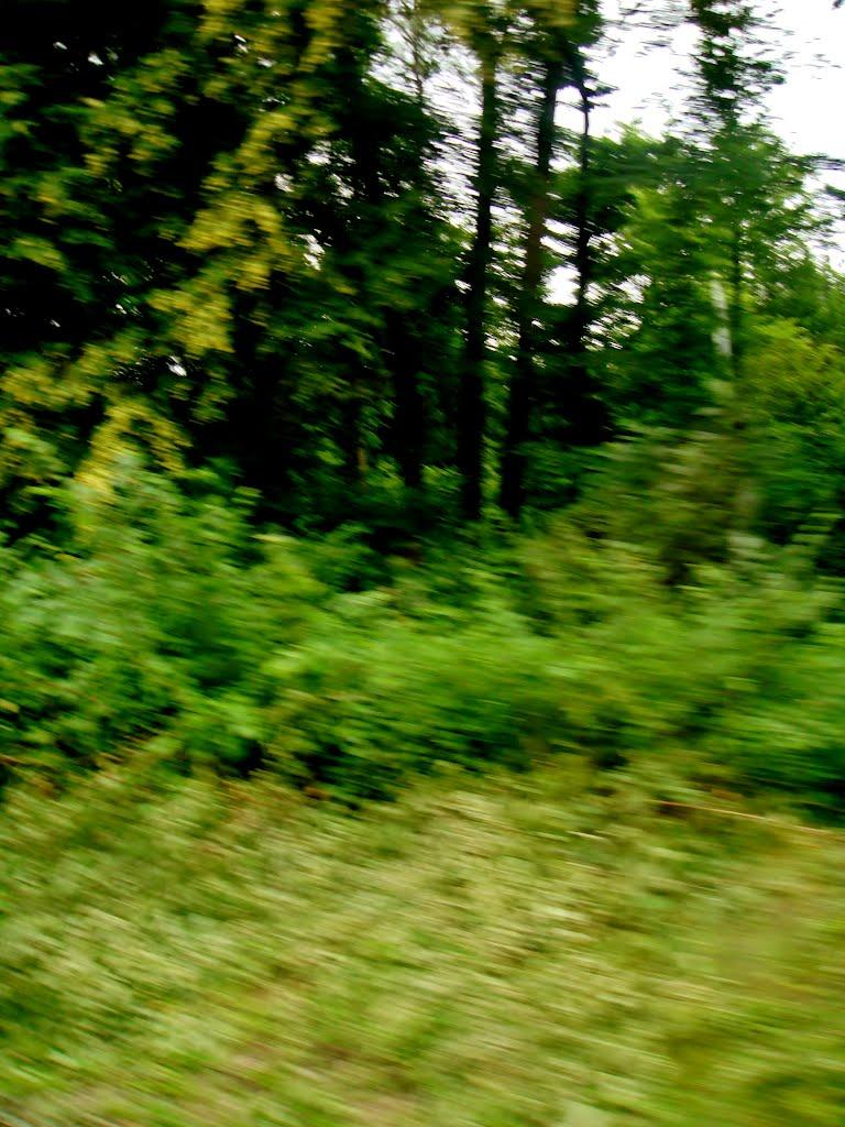 Смільчинці з panoramio.com - Смельчинцы