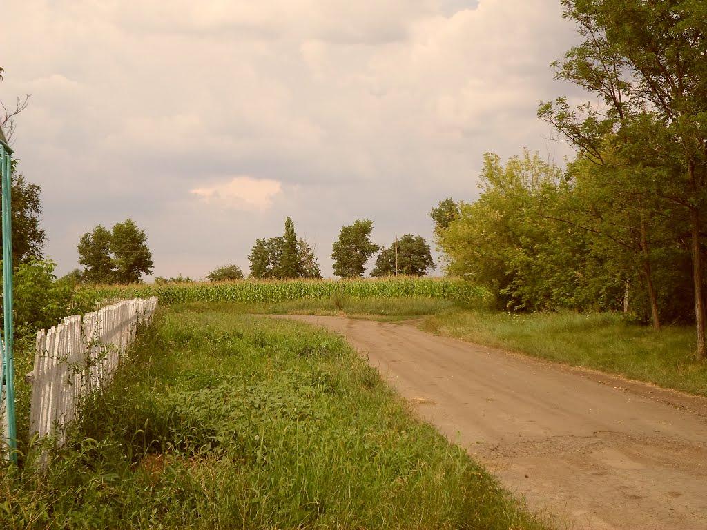 Луканівка з panoramio.com - Луканівка
