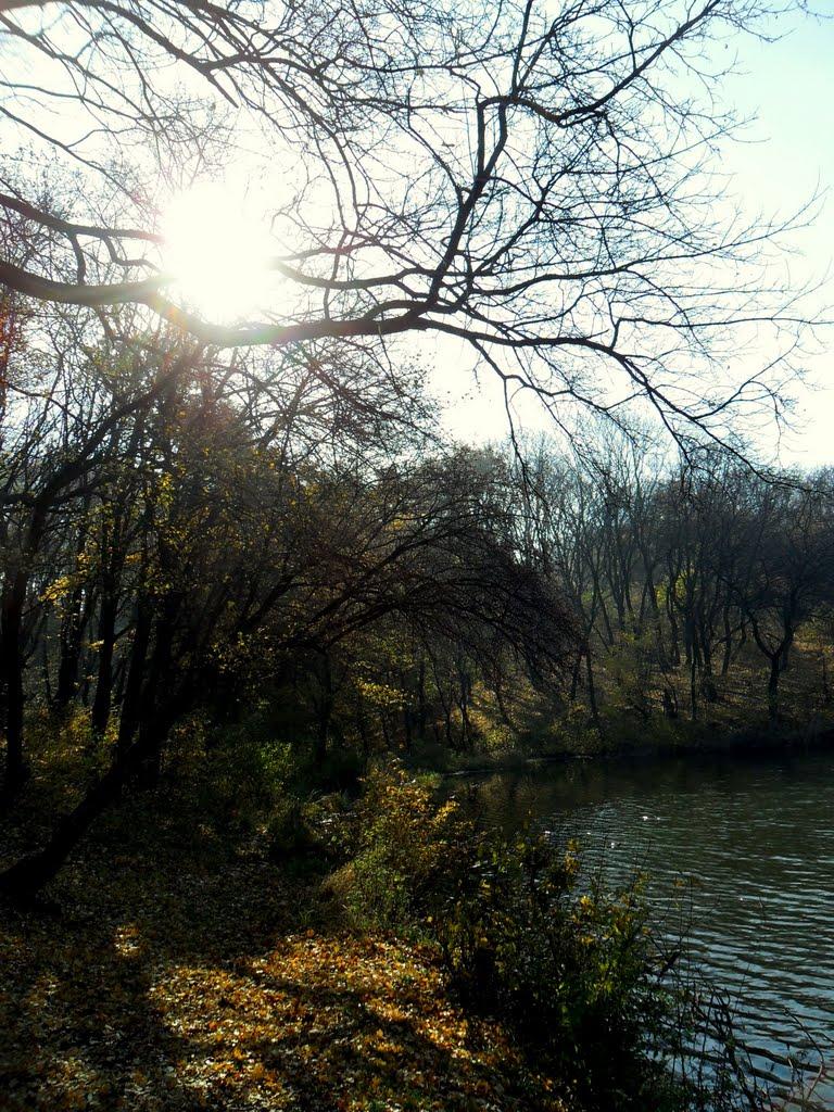 Карло-Марксове з panoramio.com - Карло-Марксово
