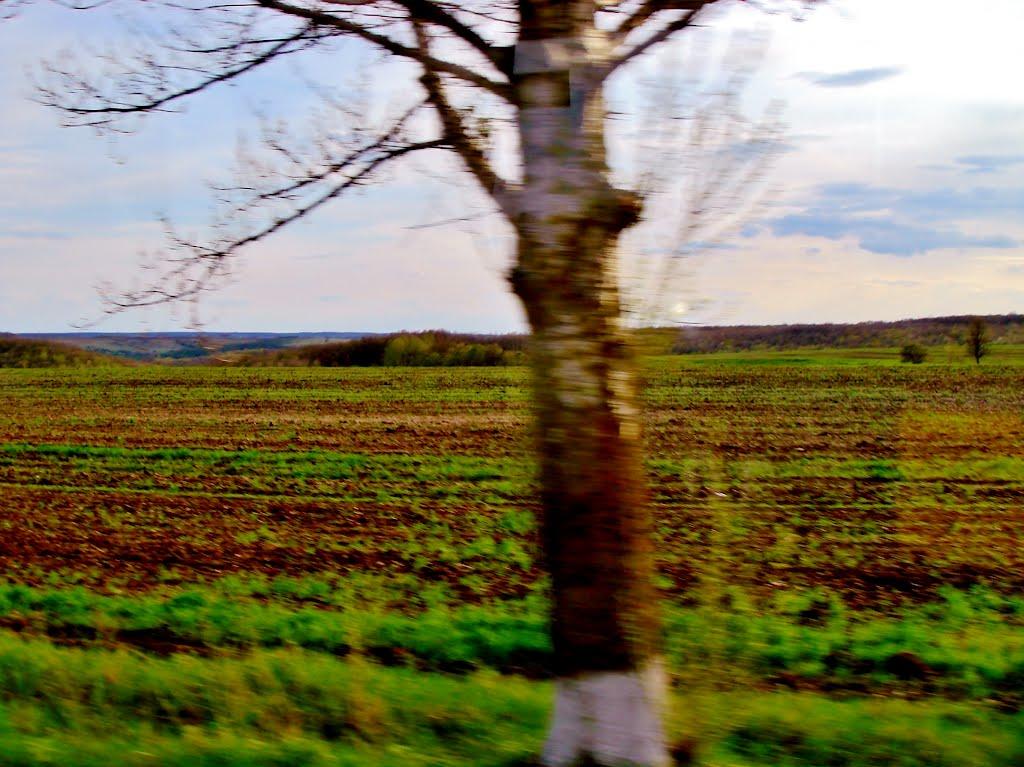 Смільчинці з panoramio.com - Смільчинці