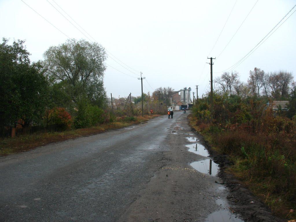 Карлівка з panoramio.com - Карловка