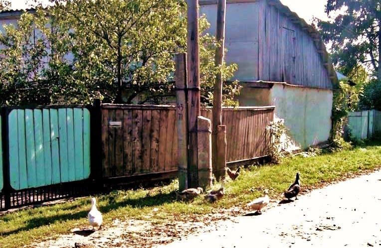 Бурімка з panoramio.com - Бурімка