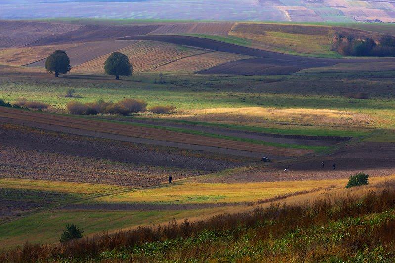 Торчин з panoramio.com - Torchyn