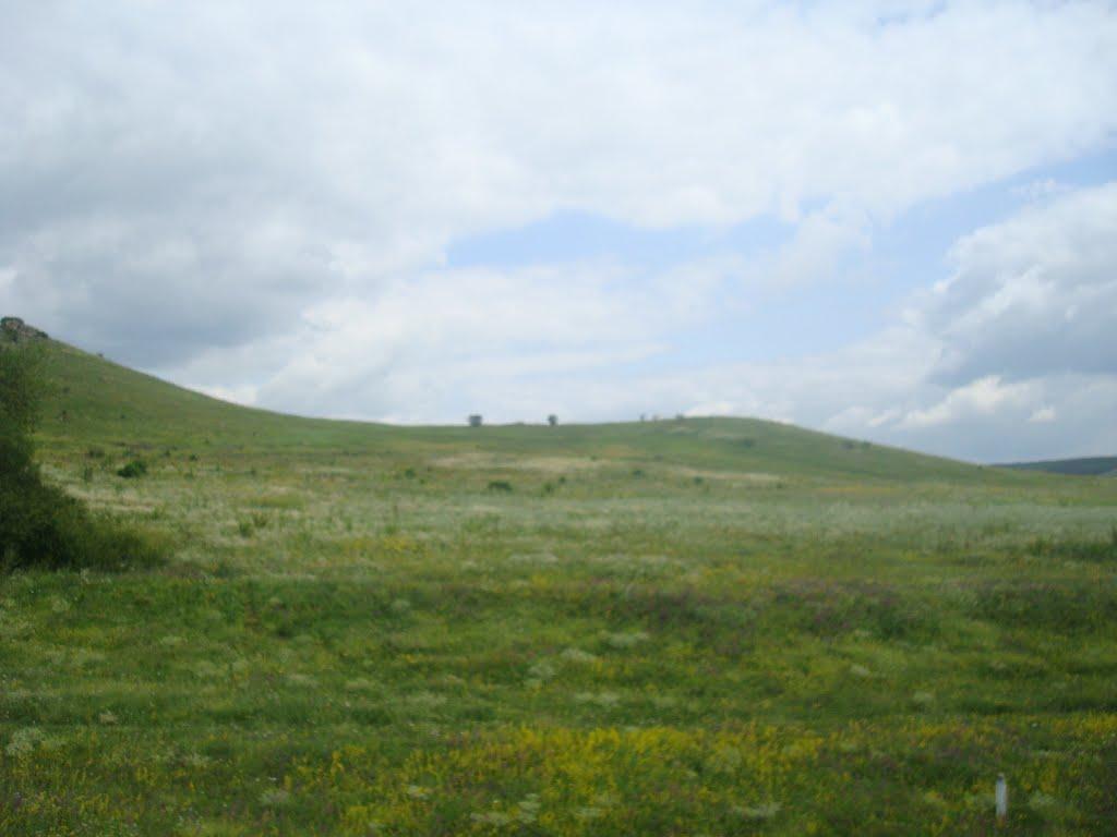 Нігин з panoramio.com - Nigyn