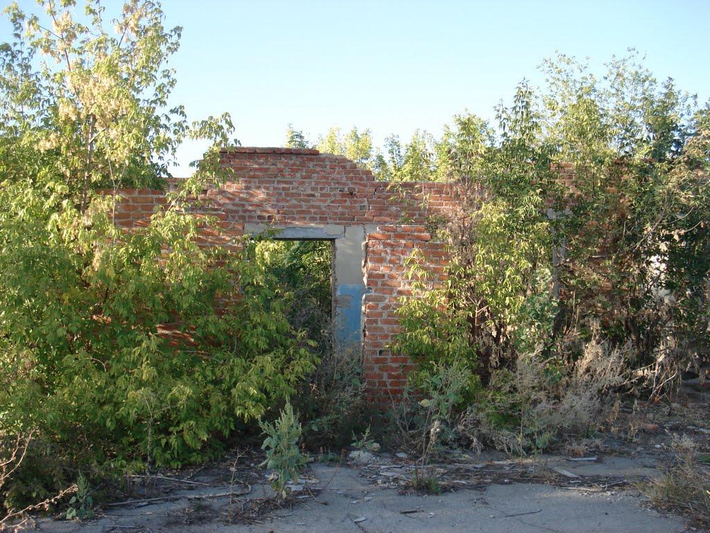 Берека з panoramio.com - Берека