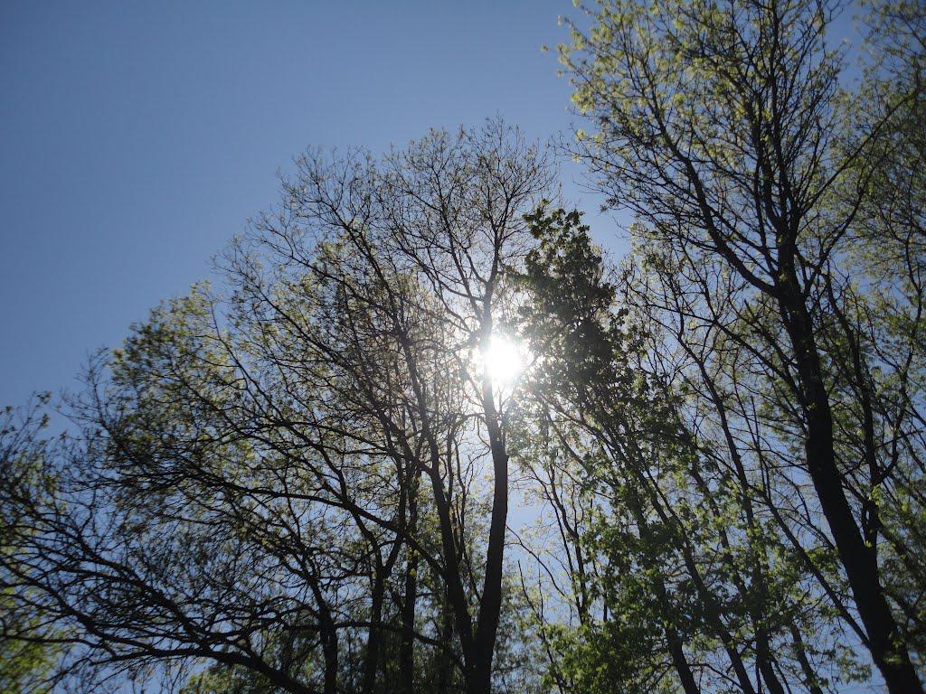 Великі Ком'яти з panoramio.com - Великі Ком'яти