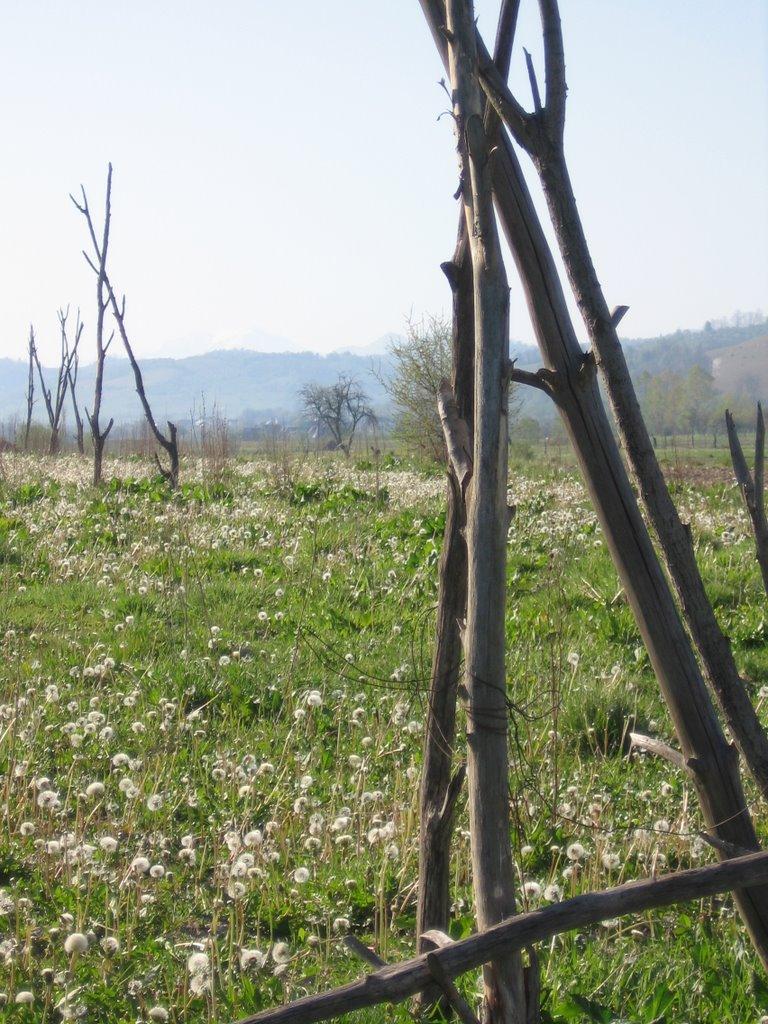 Біла Церква з panoramio.com - Біла Церква