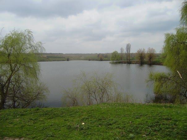 Олексіївка з panoramio.com - Алексеевка