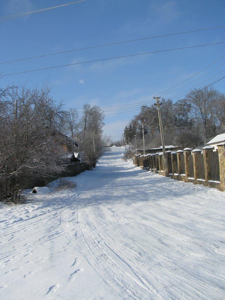 Домажир з panoramio.com - Домажир