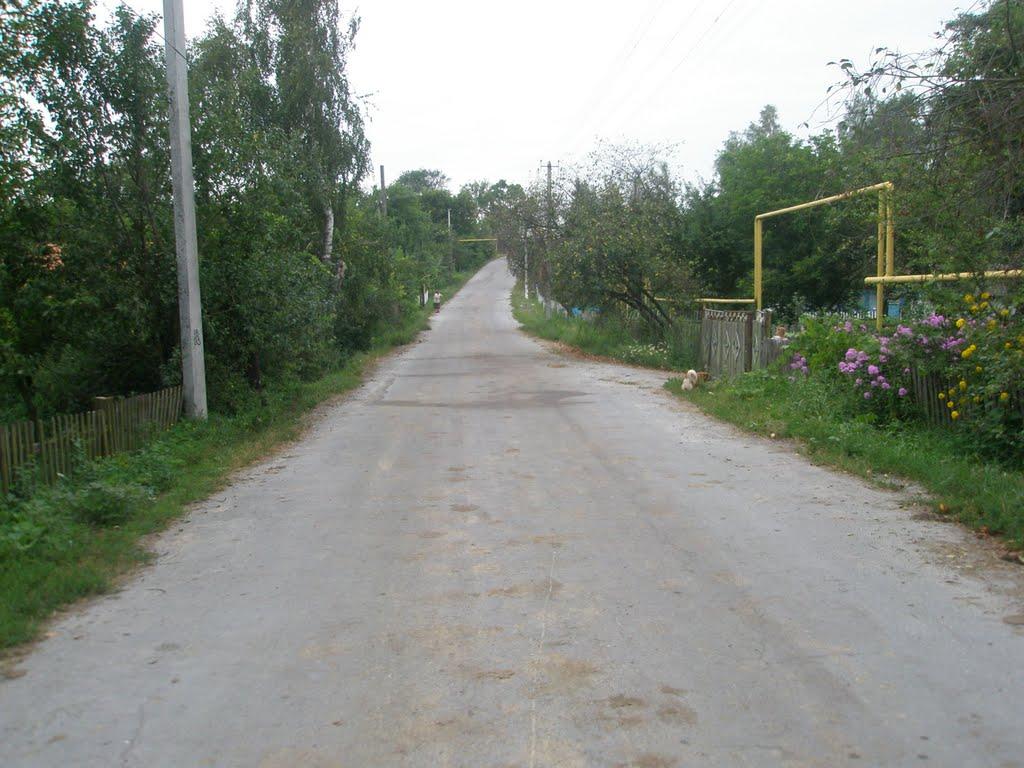 Гулянка з panoramio.com - Гулянка