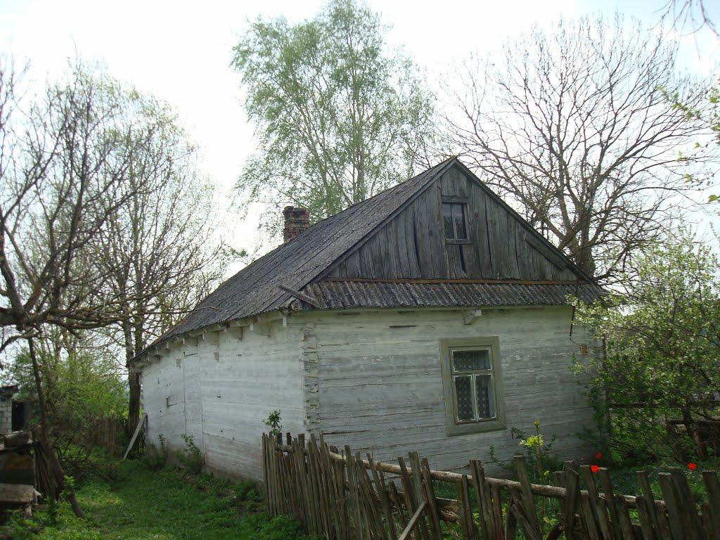 Дроздні з panoramio.com - Дроздни