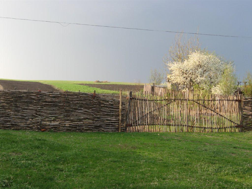 Коробчино з panoramio.com - Коробчино