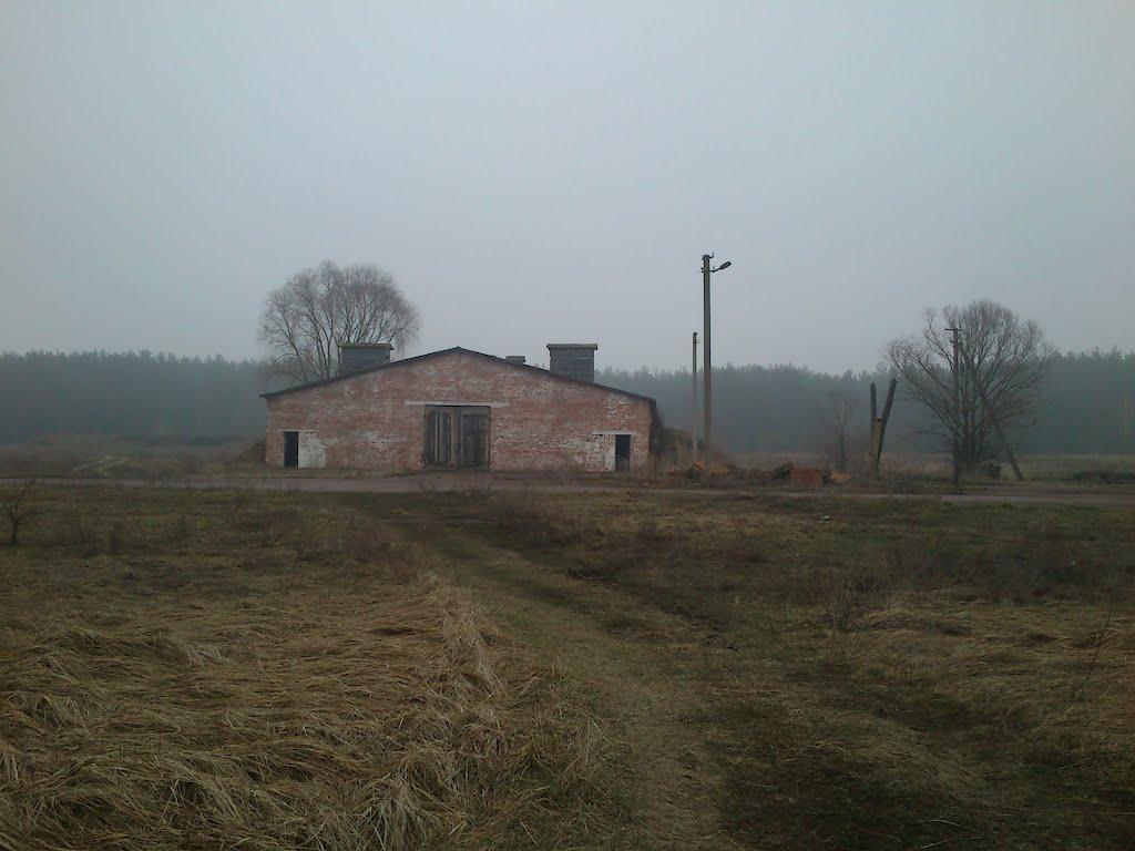 Губичі з panoramio.com - Губичі