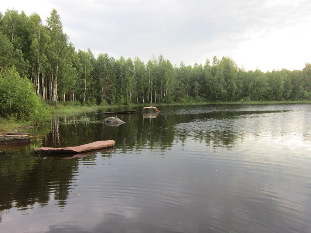 Чабан з panoramio.com - Чабан