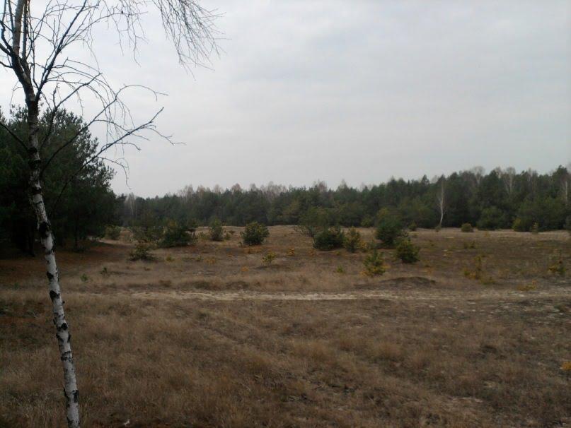 Жиричі з panoramio.com - Жиричі