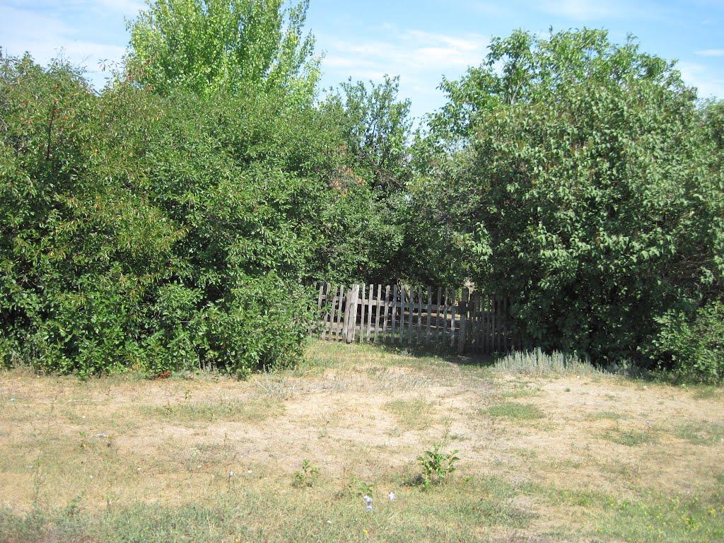 Григорівка з panoramio.com - Григорівка