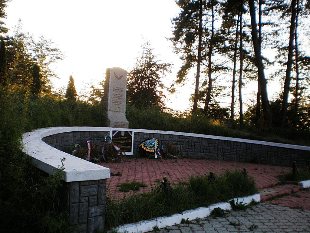 Рава-Руська з panoramio.com - Рава-Руська