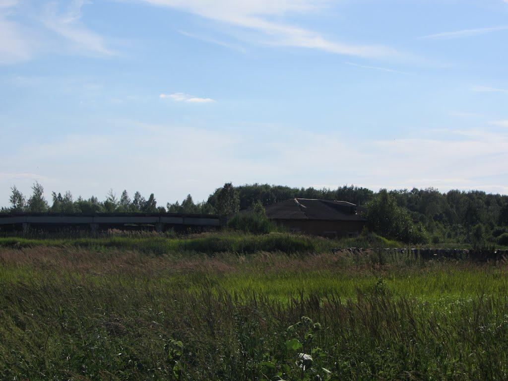 Станційне з panoramio.com - Станционное