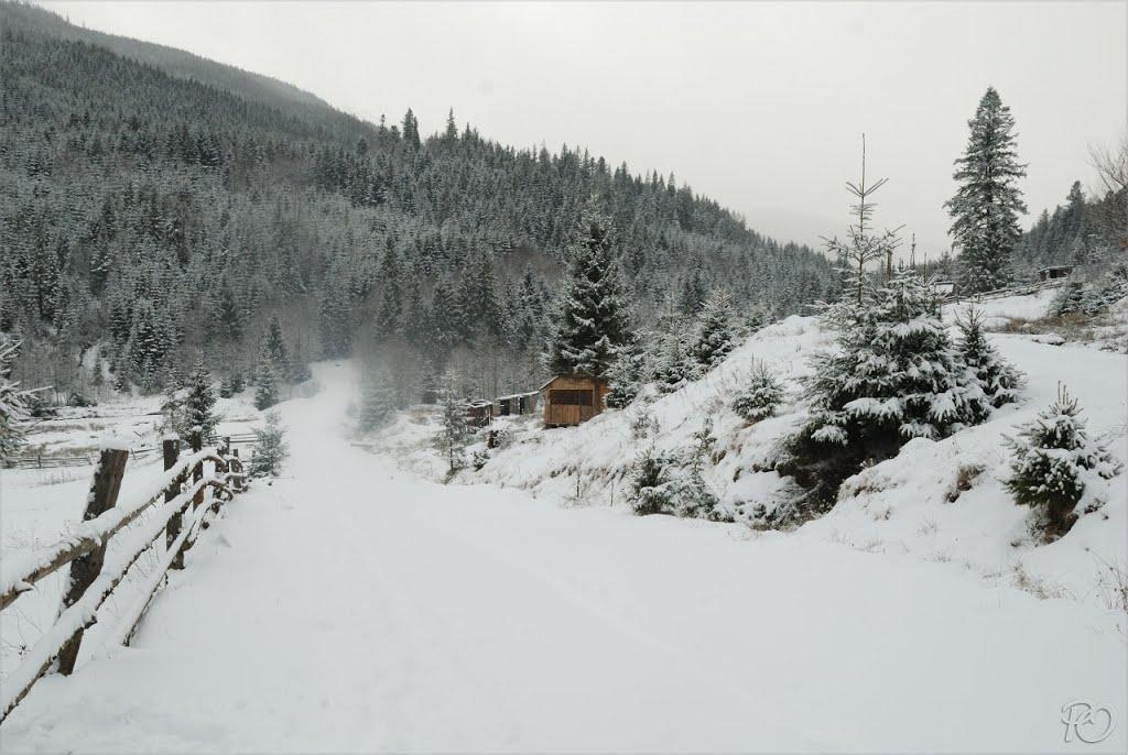 Згари з panoramio.com - Згари