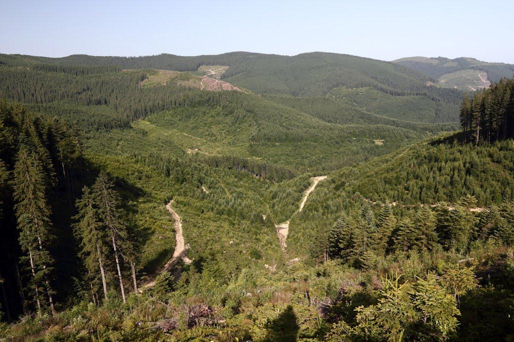 Долішній Шепіт з panoramio.com - Долишний Шепот