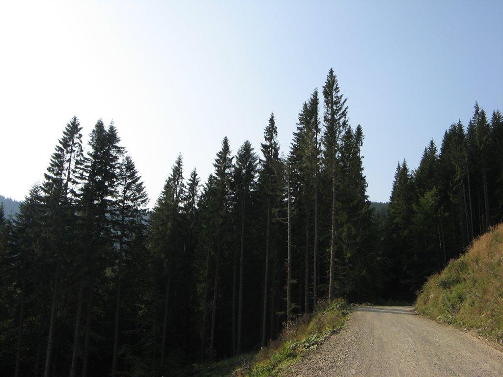 Долішній Шепіт з panoramio.com - Долишний Шепот