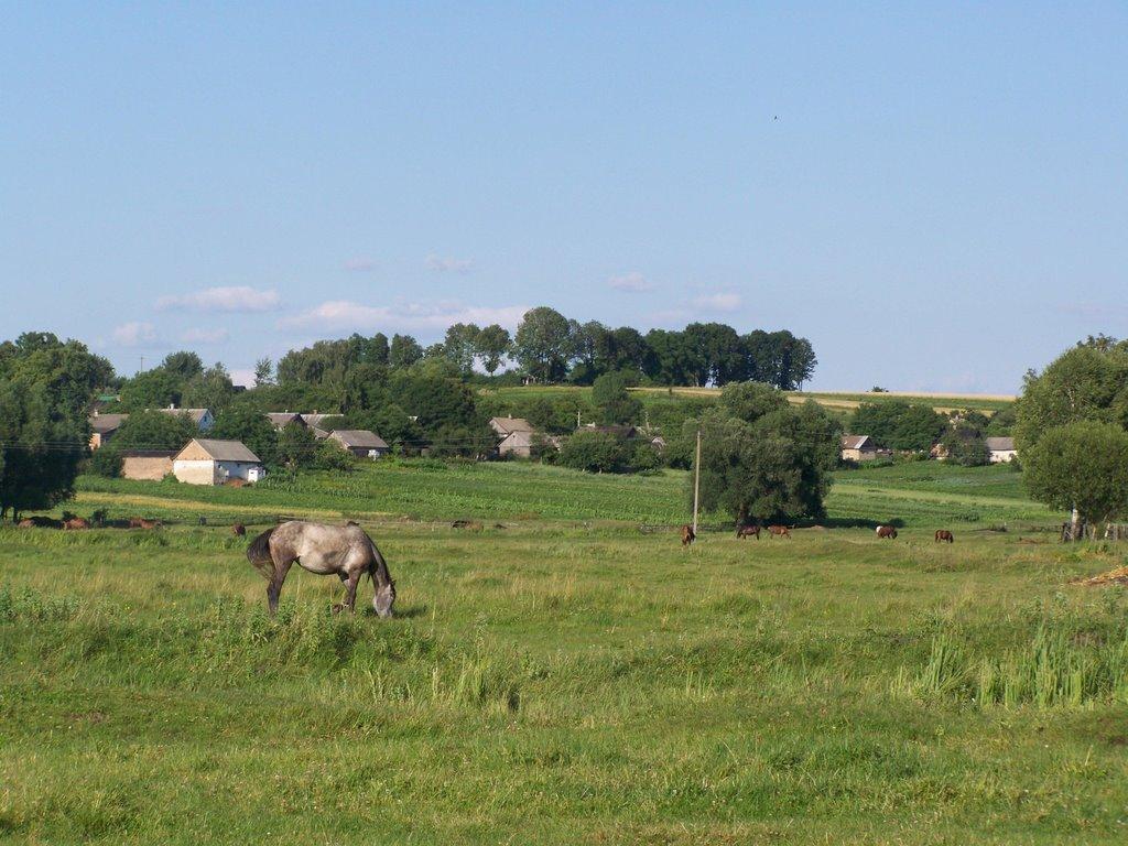 Хорів з panoramio.com - Хорів