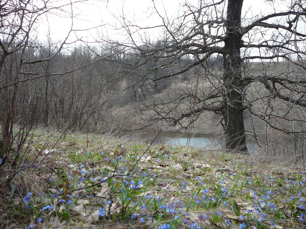 Люджа з panoramio.com - Люджа