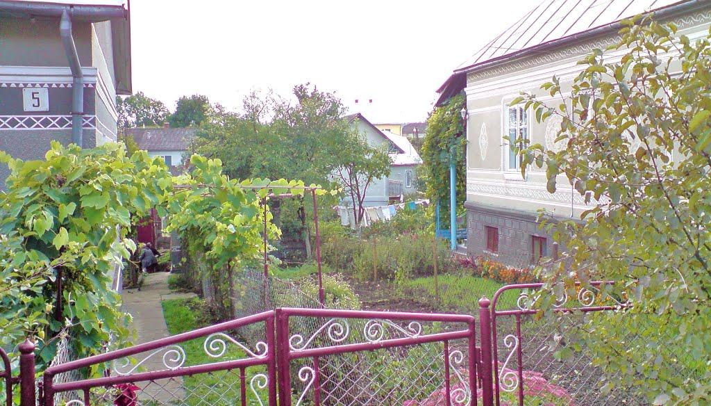 Бережани з panoramio.com - Бережаны