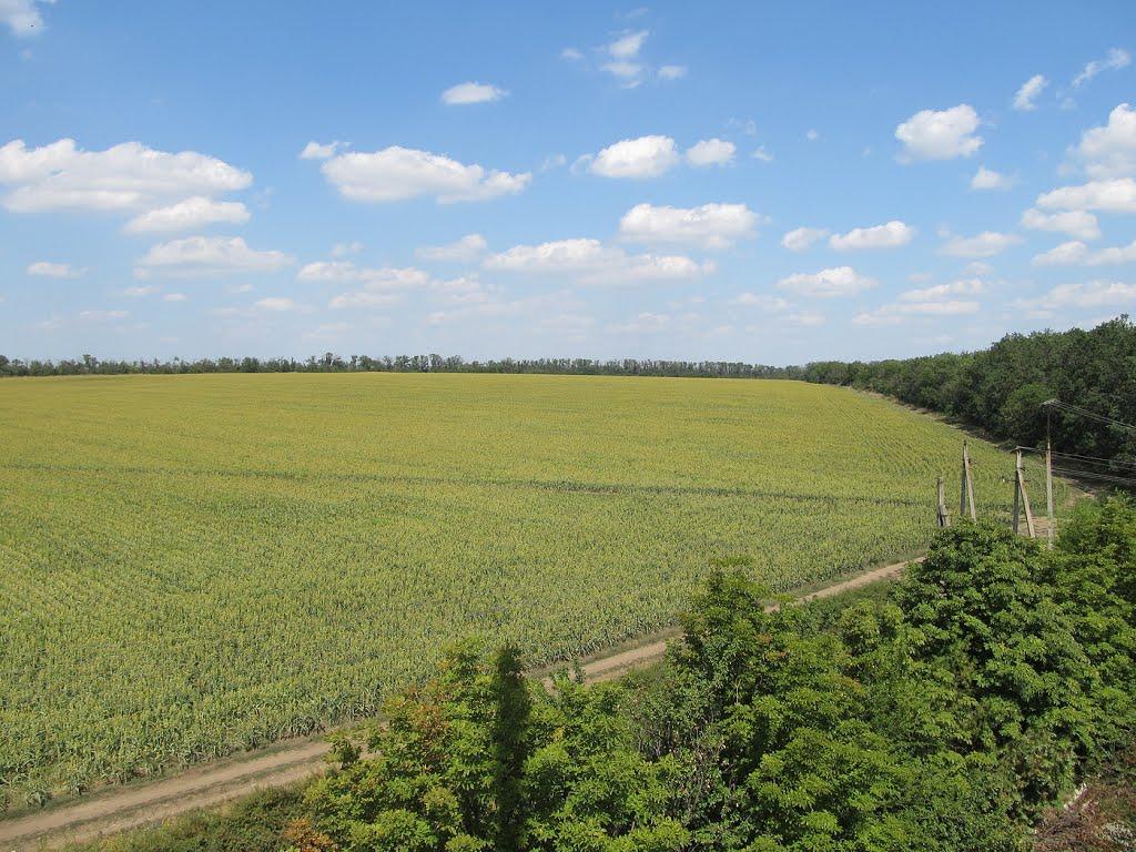 Інгулець з panoramio.com - Ингулец