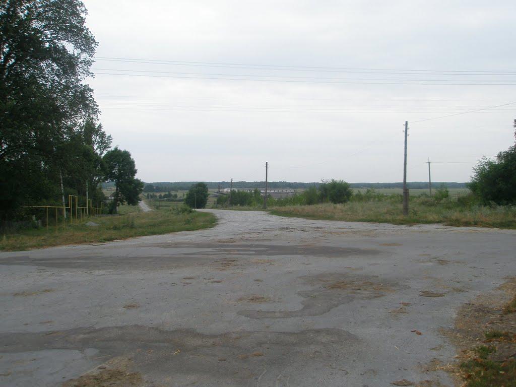 Гулянка з panoramio.com - Гулянка
