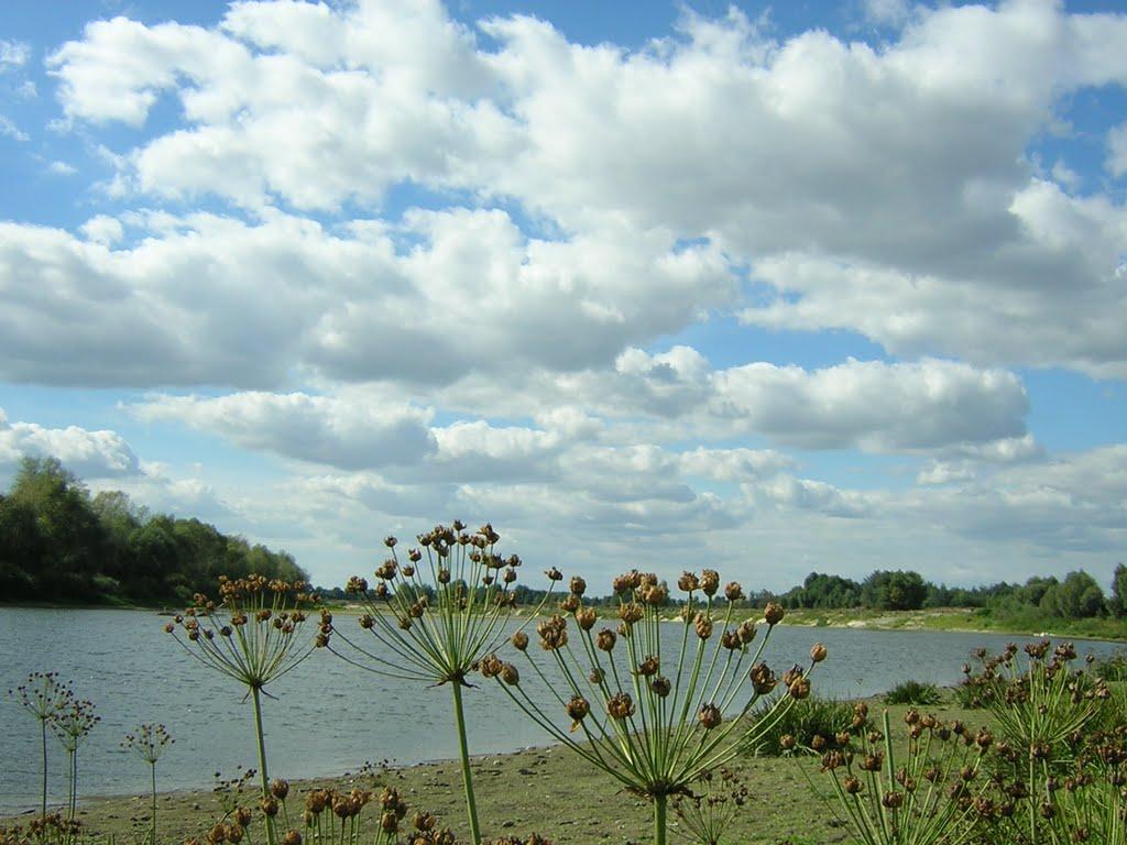 Червоний Маяк з panoramio.com - Червоний Маяк