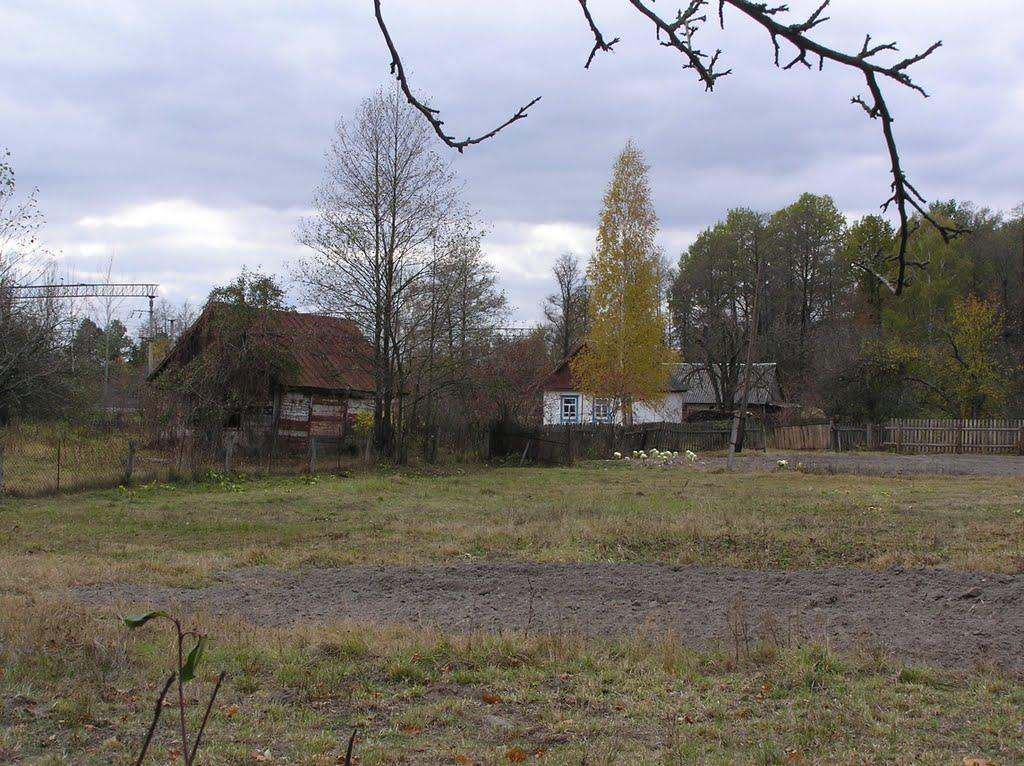 Горщик з panoramio.com - Горщик