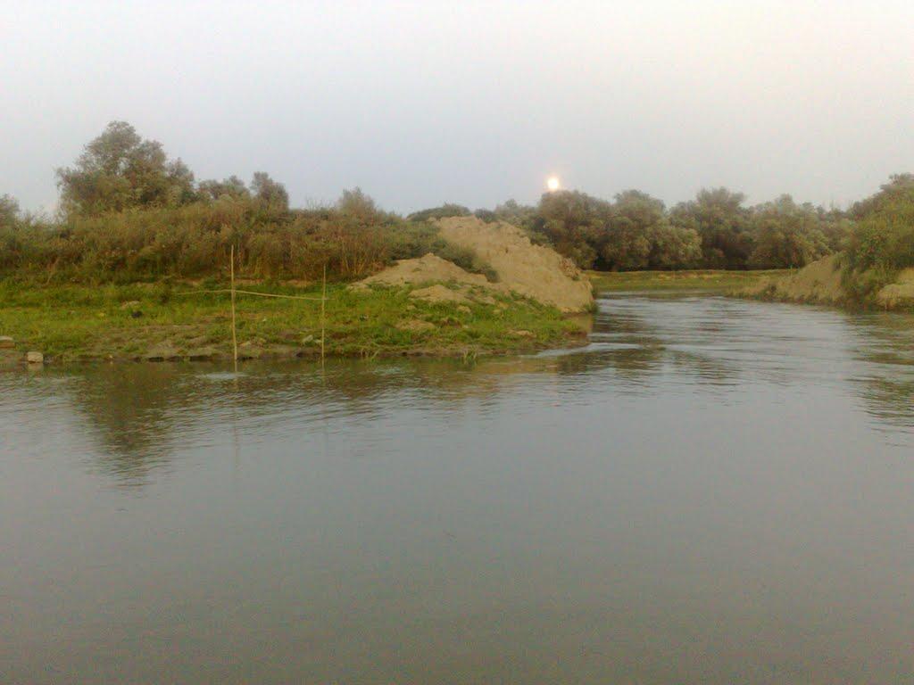 Дунайське з panoramio.com (ч.2) - Dunayske