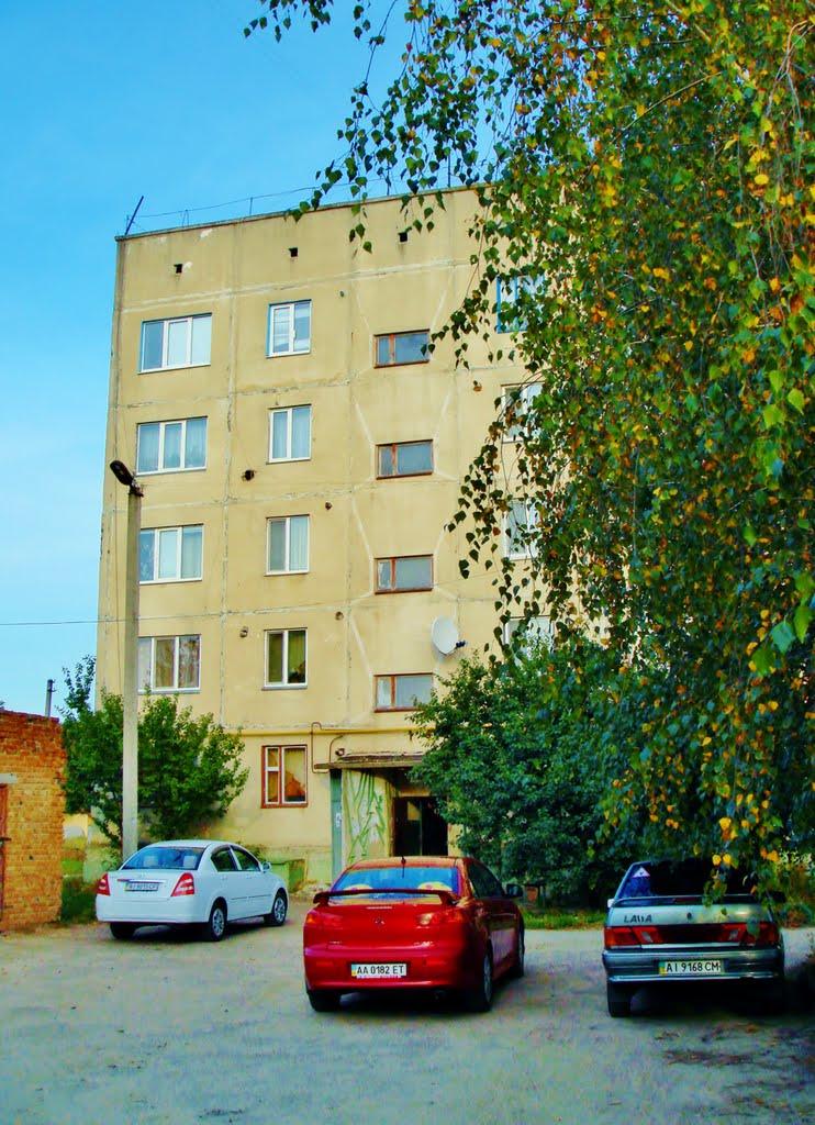 Димер з panoramio.com - Dymer
