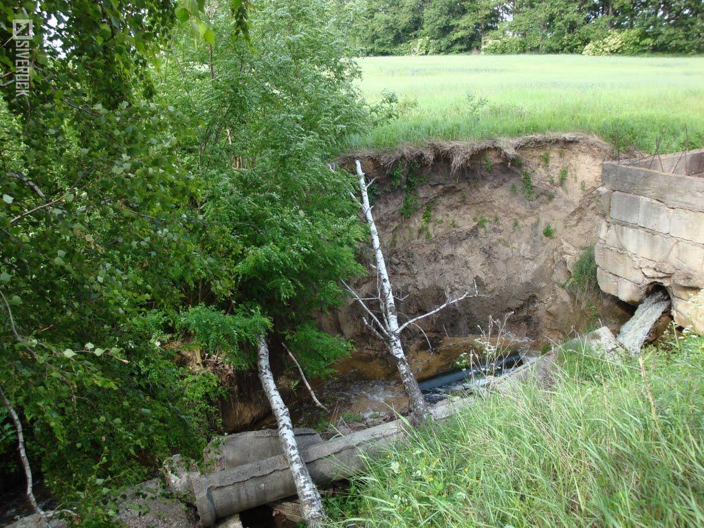 Дідівці з panoramio.com - Дідівці