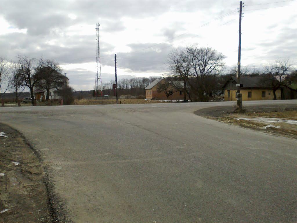 Воля-Бартатівська з panoramio.com - Воля-Бартатівська